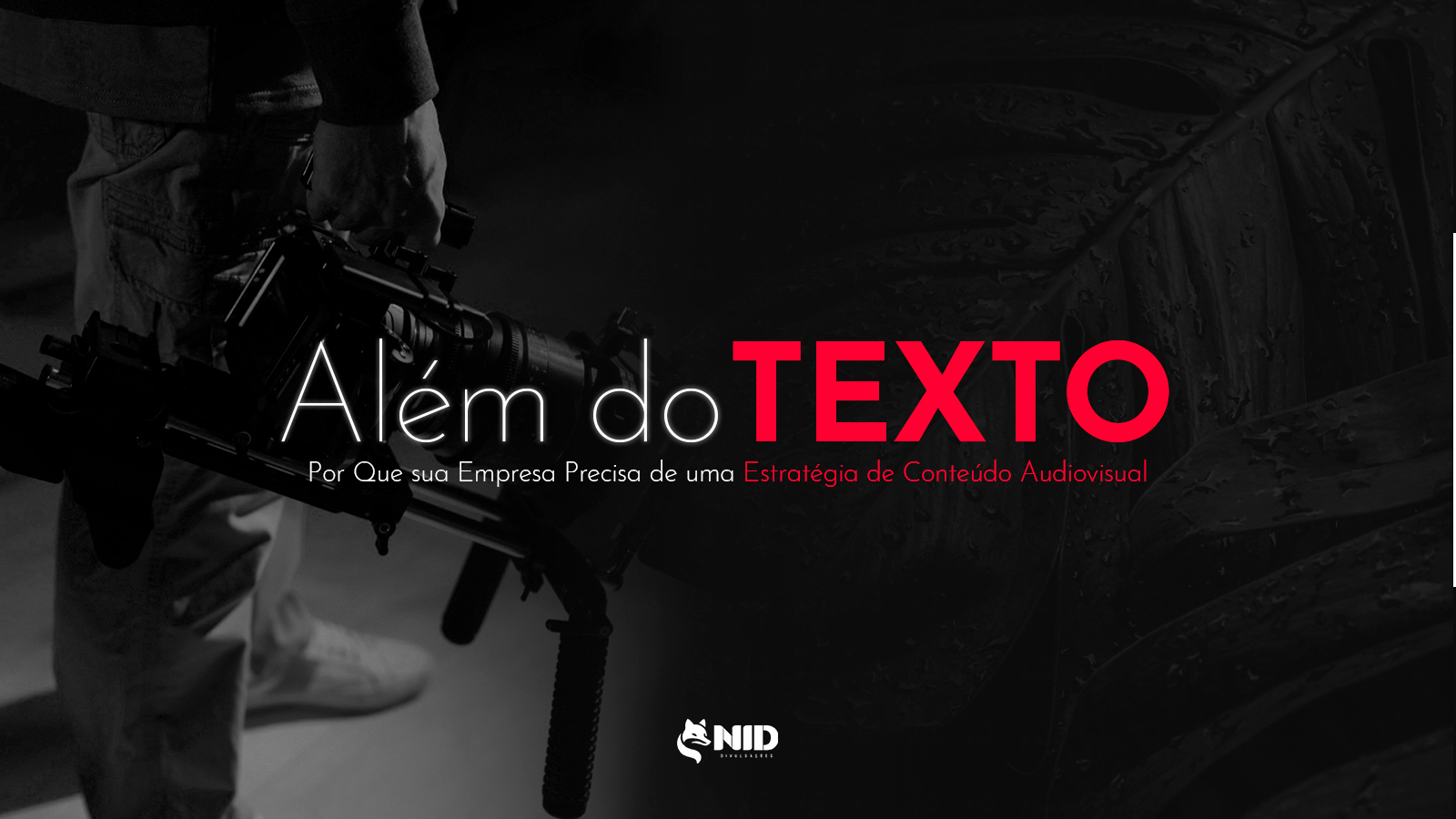Capa-post-Alem-do-TEXTO